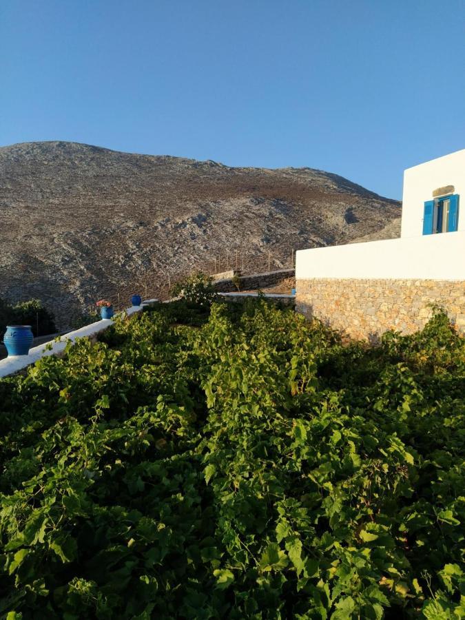 Cycladic Houses In Rural Surrounding Αμοργός Εξωτερικό φωτογραφία